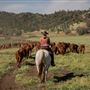 Rankin Ranch - California Cattle & Guest Ranch