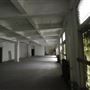 Palace Theatre and Loft