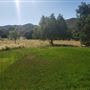 Sleepy Valley Ranch