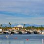 Alamitos Bay Marina