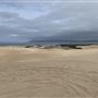 Oceano Dunes State Vehicular Recreation Area (SVRA) / Pismo State Beach (SB)