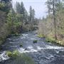 McArthur-Burney Falls Memorial State Park (SP)
