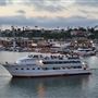 Endless Dreams @ Newport Harbor - City Cruises