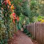 Nevada City Historic Downtown