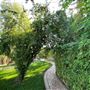 Beautiful Villa with a beautiful backyard on a large lot