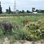 San Gabriel River Park