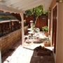 Ranch House Cedar Natural Wood 1960 Diamond Windows