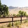 Alisal Ranch