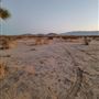 Desert Bliss