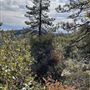 20 acres of Alpine mountainside with forests, granite and beautiful views