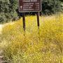 Malibu Creek State Park (SP)
