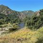 Malibu Creek State Park (SP)