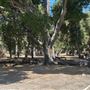 Tapia Park @ Malibu Creek State Park (SP)