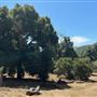 Tapia Park @ Malibu Creek State Park (SP)