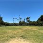 Lacy Park