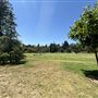 Lacy Park