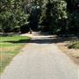 Lacy Park