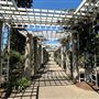 Huntington Library, Art Museum, and Botanical Gardens
