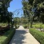Huntington Library, Art Museum, and Botanical Gardens