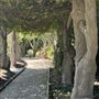 Huntington Library, Art Museum, and Botanical Gardens