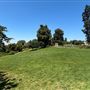 Huntington Library, Art Museum, and Botanical Gardens