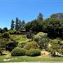 Huntington Library, Art Museum, and Botanical Gardens