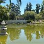 Huntington Library, Art Museum, and Botanical Gardens