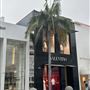Rodeo Drive - Beverly Hills