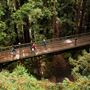 University of California, Santa Cruz - UCSC