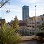 Savanna Rooftop