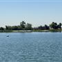 Hansen Dam Recreation Center / Department of Recreation & Parks City of Los Angeles' Land Leased From U.S. Army Corps of Engineers