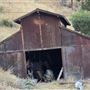 Fitch barn