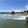 Lake Balboa/Anthony C. Beilenson Park