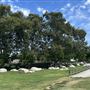 Sepulveda Basin Wildlife Preserve / Woodley Park
