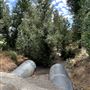 Sepulveda Basin Wildlife Preserve / Woodley Park