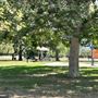 Woodley Park