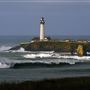 Pigeon Point Light Station State Historic Park (SHP) and Hostellng Accommodations