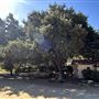 Orcutt Ranch Horticultural Center & Community Garden