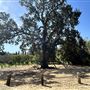 Orcutt Ranch Horticultural Center & Community Garden