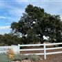 Driftwood Ranch