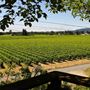 Ru's Farm (fka Healdsburg Country Gardens)