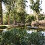 Spanish Home on 3 Acres with Private Pond and Rock Cabin