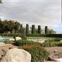 Frederick Loewe Estate