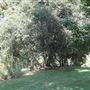 Ed Davis Park in Towsley Canyon - Santa Monica Mountains Conservancy - SMMC