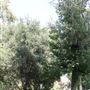 Ed Davis Park in Towsley Canyon - Santa Monica Mountains Conservancy - SMMC