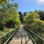 Ed Davis Park in Towsley Canyon - Santa Monica Mountains Conservancy - SMMC