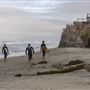 Leucadia State Beach (SB) - locally known as Beacon's Beach - permitted by the city of Encinitas