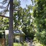 Vista Cottage