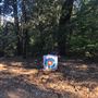 Twin Oaks Cabin on Palomar Mountain