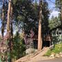 Twin Oaks Cabin on Palomar Mountain